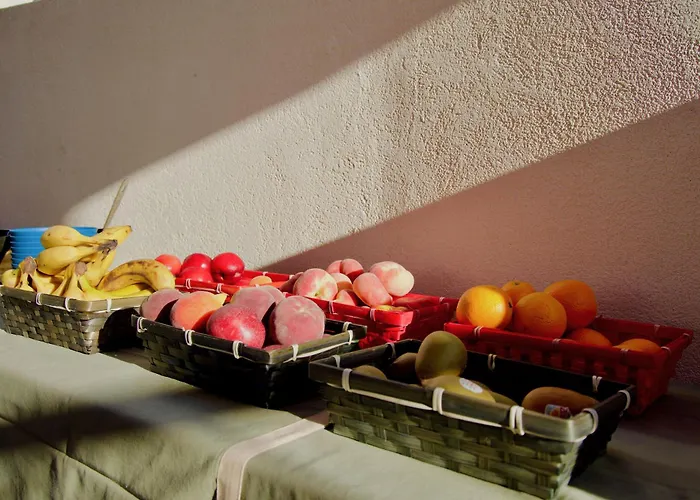 Jardin D'eden By Agn Je108 - Junior Premium آجد